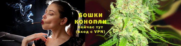 гидра Зеленодольск