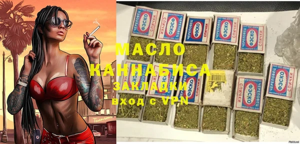 гидра Зеленодольск