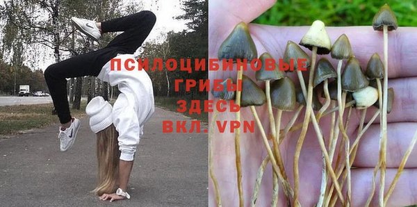 винт Зеленокумск