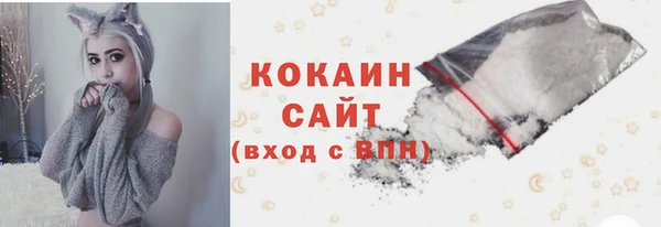 гидра Зеленодольск