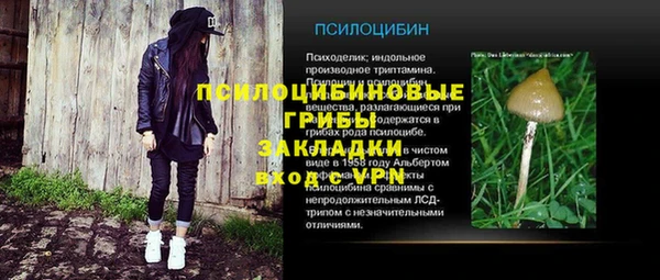 гидра Зеленодольск