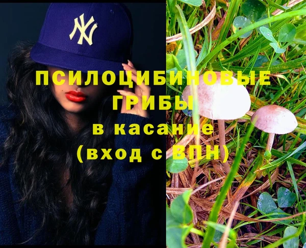 гидра Зеленодольск