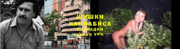 гидра Зеленодольск