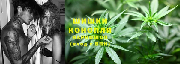 гидра Зеленодольск
